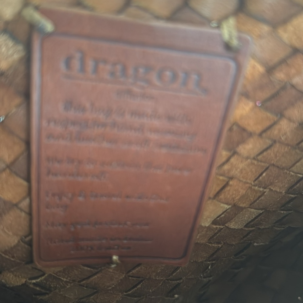 Dragon Diffusion Santa Croce Small Bag - Picture 6 of 10